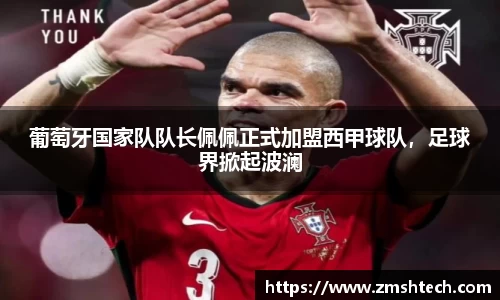 葡萄牙国家队队长佩佩正式加盟西甲球队，足球界掀起波澜