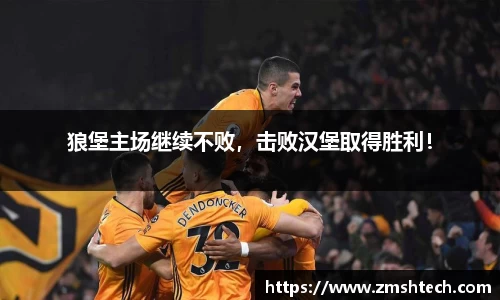 狼堡主场继续不败，击败汉堡取得胜利！