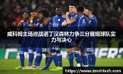 28圈官方网站
