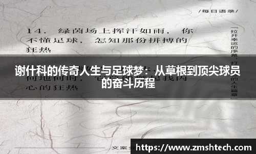 28圈注册链接入口