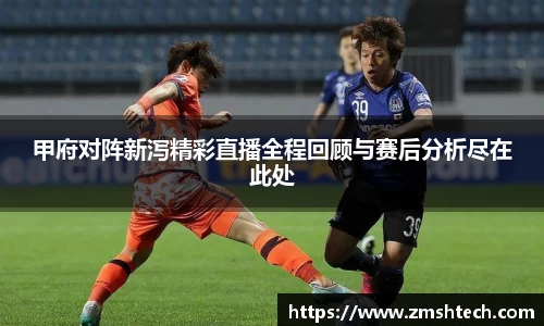 甲府对阵新泻精彩直播全程回顾与赛后分析尽在此处
